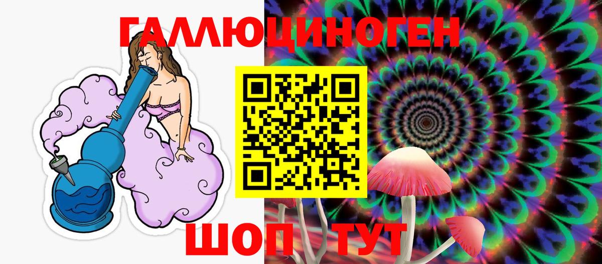 Вольск  Псилоцибиновые грибы ЛСД  Вход с VPN 