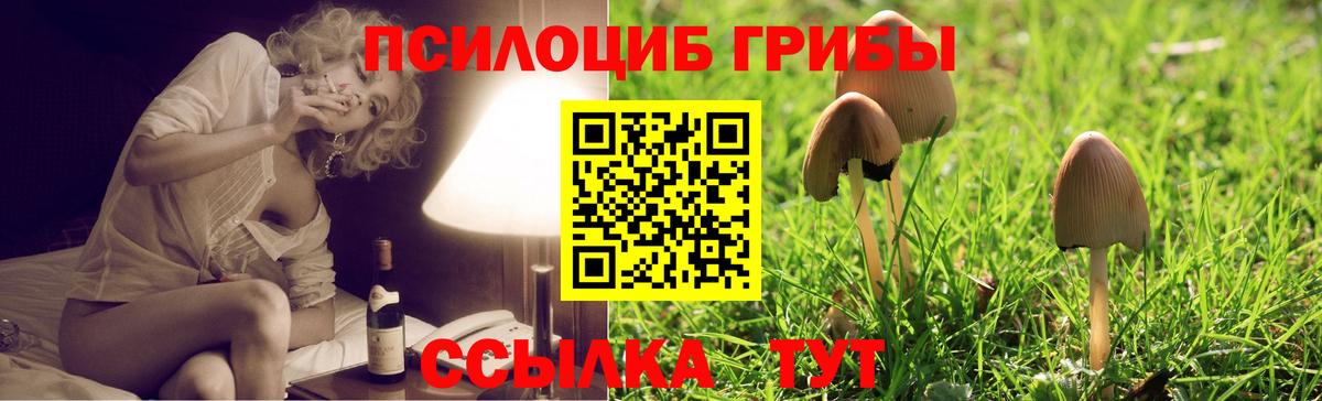 Галлюциногенные грибы Cubensis Вольск