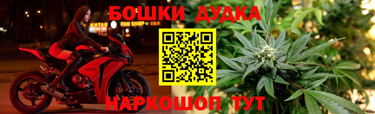 Каннабис OG Kush Вольск